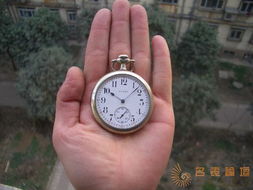 王进龙 以匠人之心，传钟表艺术——精工KS与GO表盒的销售之旅